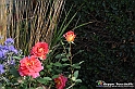 VBS_7122A - FLOREAL Ottobre 2022 - Tre giorni di fiori, piante e bellezza